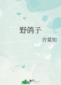 野鸽子和家养鸽子的区别