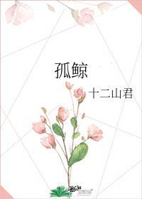 孤鲸十二山君免费阅读无弹窗
