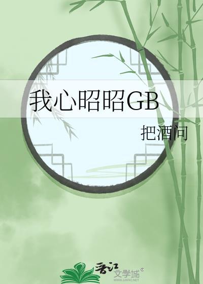 昭昭我心txt