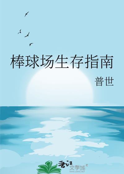 棒球场全图