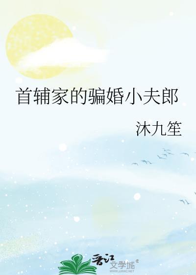 首辅家的骗婚小夫郎 txt