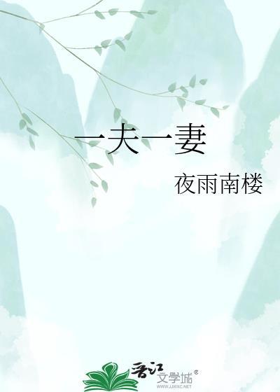 一夫一妻是谁提出来的