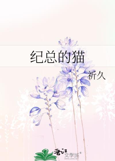 纪总的猫gl30