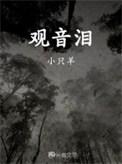 观音泪设定
