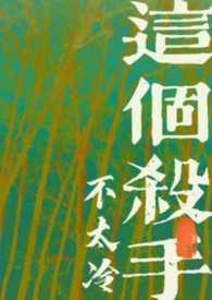 这个杀手不太冷详解