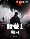 暗巷猎手
