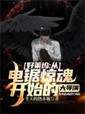 好莱坞电影系列大全