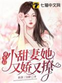重生后小妻战力满满