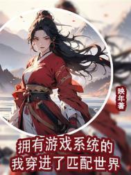 携带游戏系统穿越