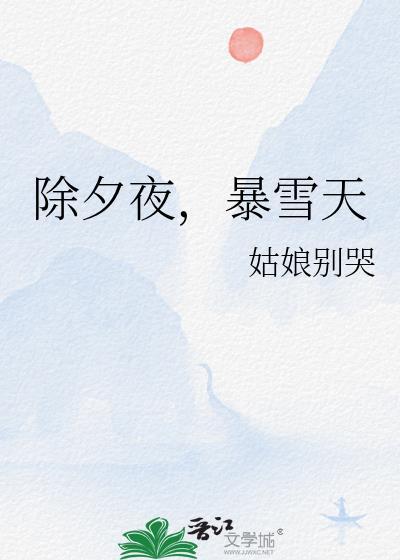 除夕夜暴雪天完整版txt