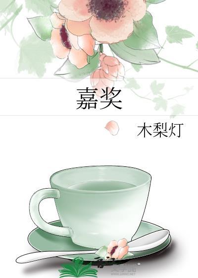 嘉奖主要事迹个人方面怎么写