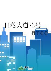 日落大道实体