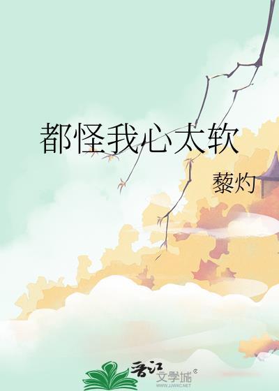 都怪我心太软TXT