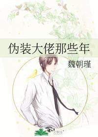 伪装大佬受