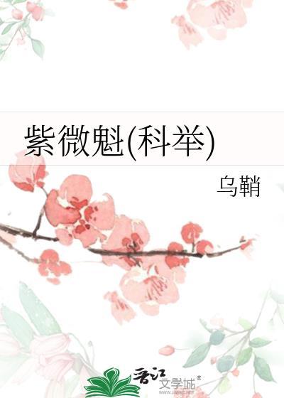 紫微详批