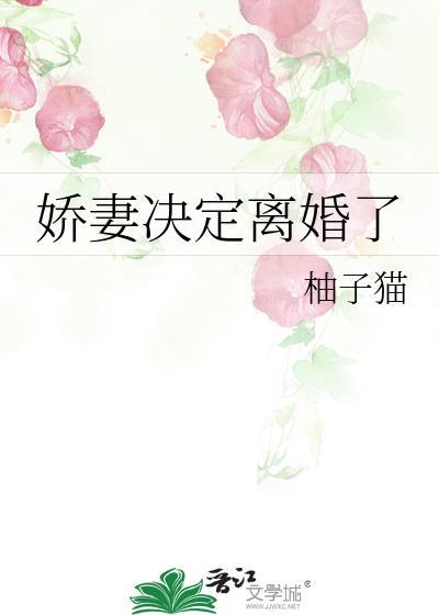 娇妻决定离婚了全文免费