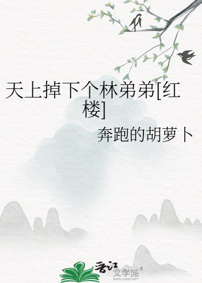 天上掉下个林叔叔[红楼+清穿