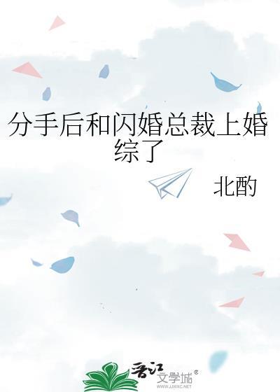 分手后和闪婚总裁上婚综了番外