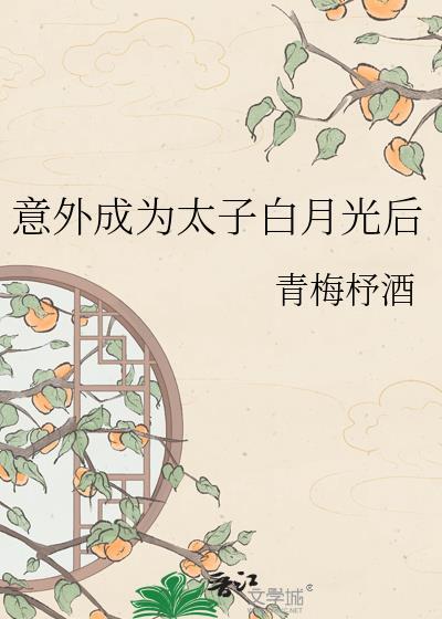 意外穿越成太子