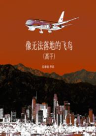 像无法落地的飞鸟(高干) 作者迟春昼