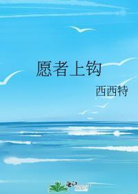 愿者上钩by匿名