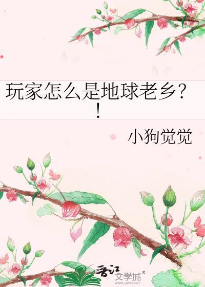 地球玩家第一人