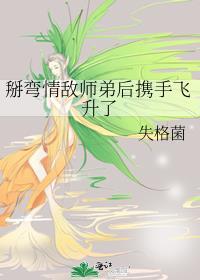 掰弯师傅