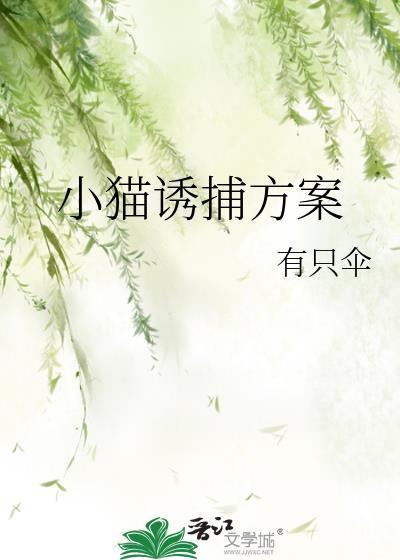 诱捕野猫用什么食物