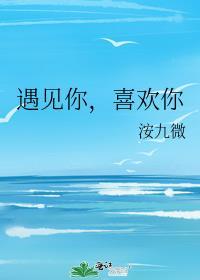 遇见你就喜欢你歌词