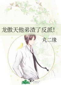 龙傲天他弟渣了反派! 作者丸二缘