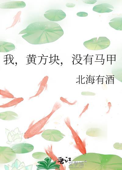 我黄方块没有马甲