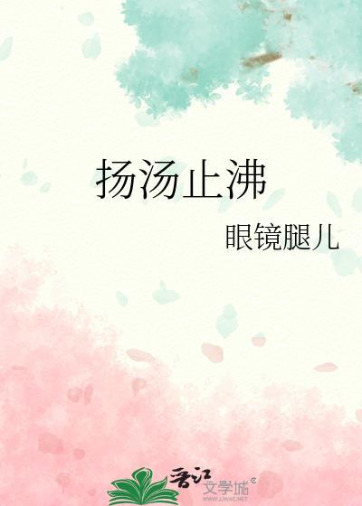 扬汤止沸中的汤是什么意思