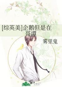 企鹅哥谭镇