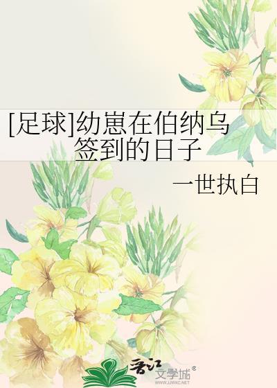 足球伯纳乌小王子