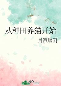 从种田养猫开始讲的什么
