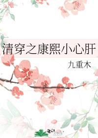 清穿之康熙小心肝 九重木免费阅读