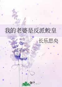 心匣刑侦免费阅读
