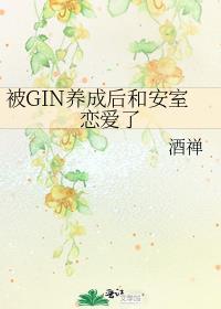 被gin养成后和安室恋爱了 酒禅
