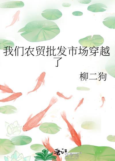 农贸市场发展历程简介