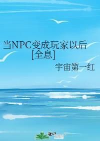 当npc的网游