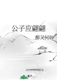公子应翩翩未删减版