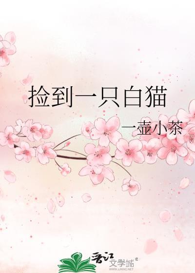 捡到一只白猫亲身经历了什么