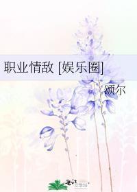 职业mv