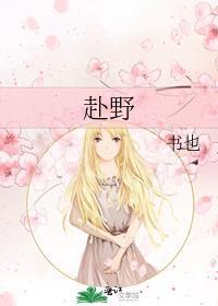赴野讲了什么