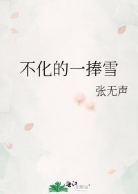 不化的一捧雪讲的什么