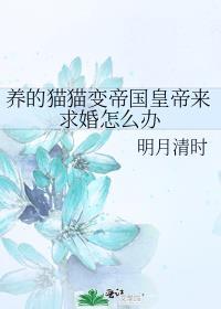 猫咪皇帝