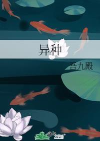 异种族风评评测指南动漫高清