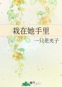 栽在你手里张不一