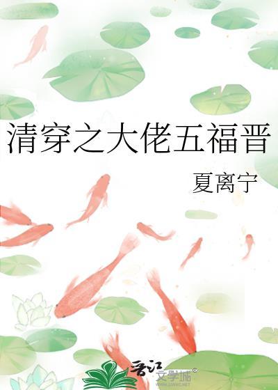 清穿之大福晋怂包