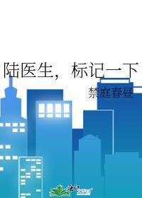 陆医生标记一下TXT百度